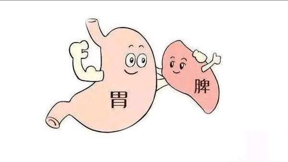 四个食疗小方子，还你一个健康脾胃