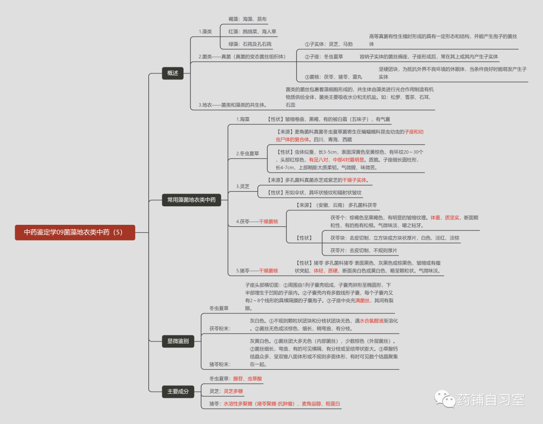 【初级中药师|中药鉴定学】09菌藻地衣类中药（5）
